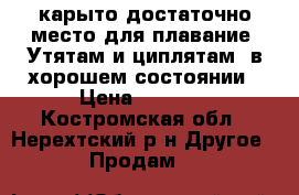  карыто достаточно место для плавание ,Утятам и циплятам )в хорошем состоянии › Цена ­ 1 000 - Костромская обл., Нерехтский р-н Другое » Продам   